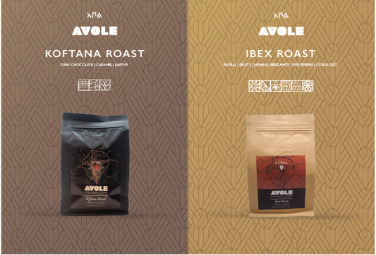 Introducing Avole Xpress: Your Gateway to Authentic Ethiopian Coffee